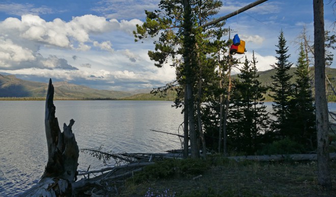 Hanging food from bears