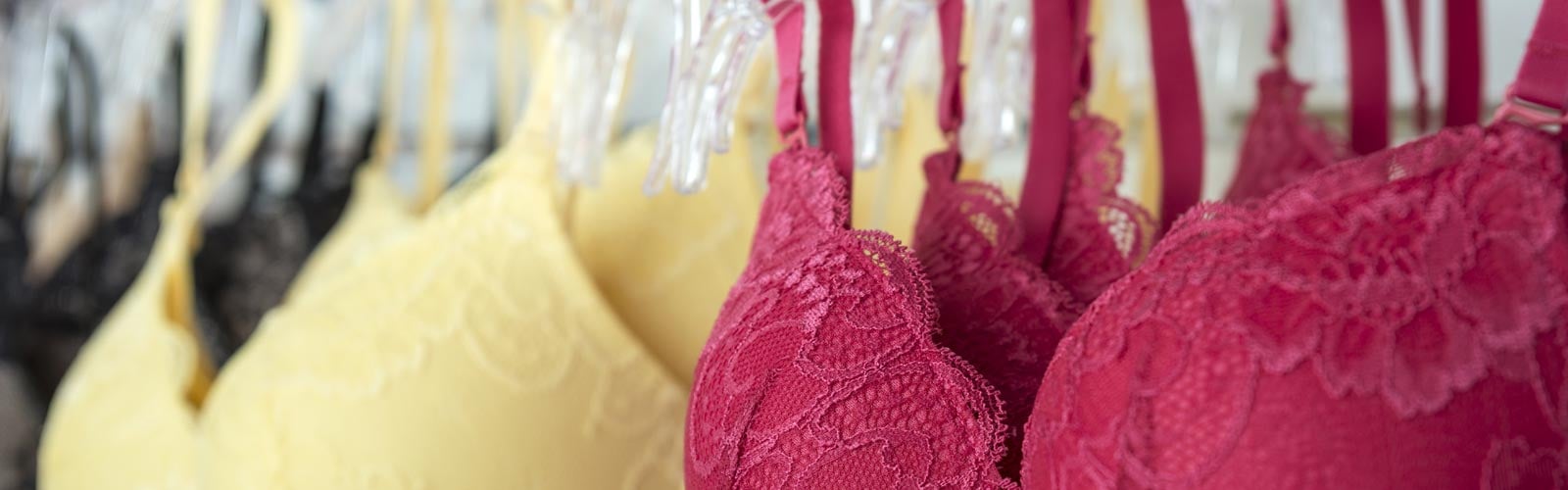 Questions About Bras