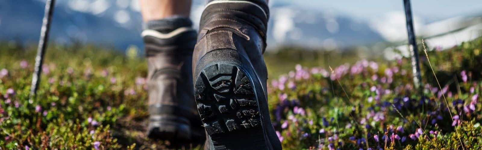 Sierra hiking boots sale