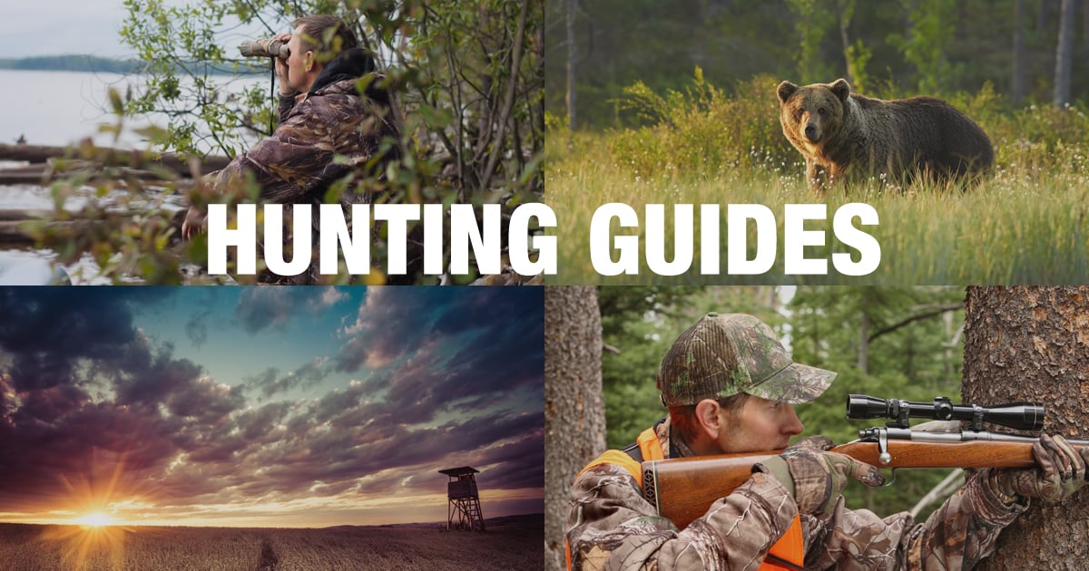 Hunting Guides: Sierra