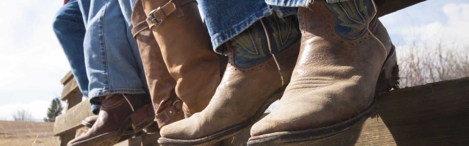 low heel cowboy boots mens