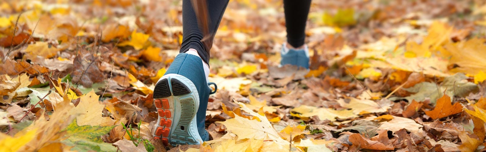 Street vs Trail vs Treadmill