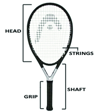 Racquets Anatomy