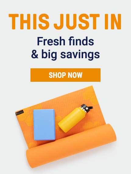 SIERRA ONLINE OFFERS visual data 4